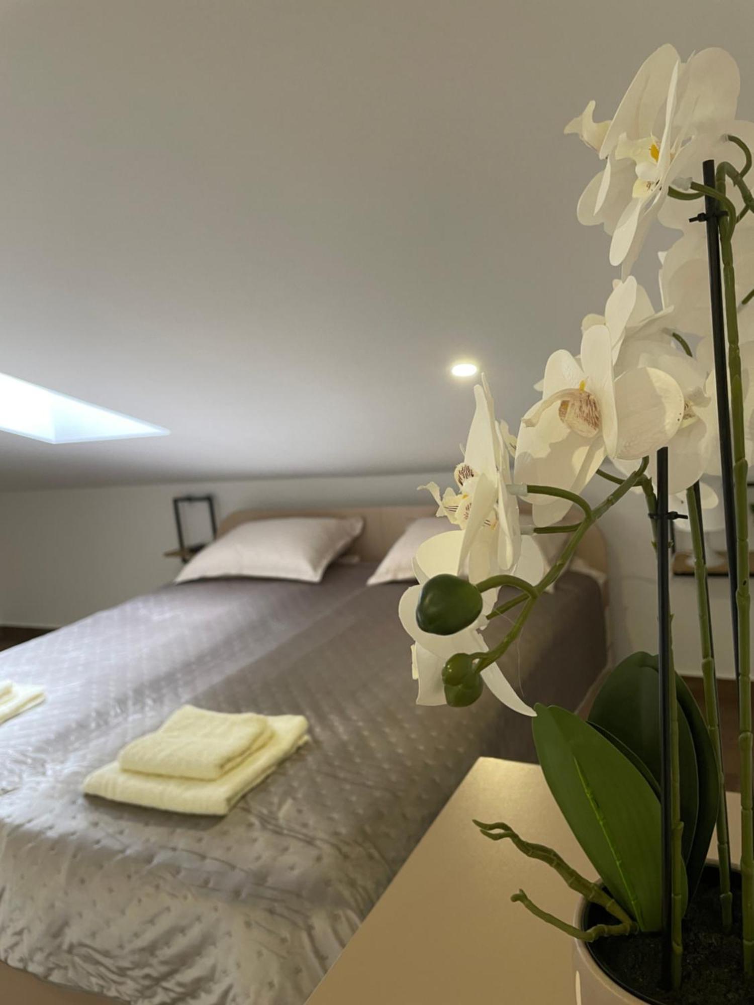 Joy Apartment 6 Beograd Eksteriør billede
